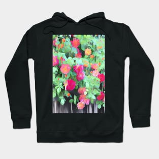 Rose 390 Hoodie